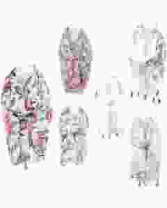 ANTONIO Schals Flower Collection