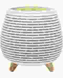 FARFALLA Aroma-Vernebler Valencia