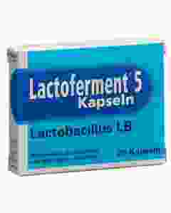 LACTOFERMENT Kaps 20 Stk