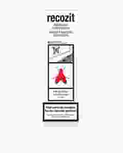 RECOZIT DEKORATIVER FLIEGENKÖDER 4 STK