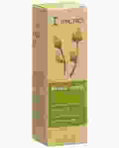 SPAGYROS GEMMO Betula comp Glyc Maz D 1