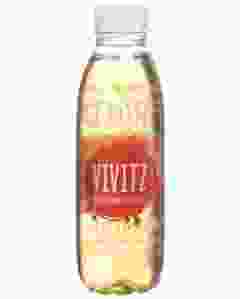 VIVITZ Bio Eistee Apfelminze 0.5 lt
