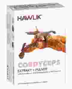 HAWLIK CORDYCEPS EXTRAKT + PULVER KAPS 6