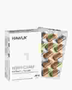 HAWLIK HERICIUM EXTRAKT + PULVER KAPS 60