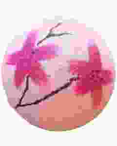 BOMBCOSMETICS Blaster CherryBlossom