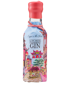 COPPER CLOUDS GIN LYCHEE&RASPERRY 5CL