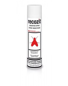 RECOZIT INSEKTEN SPRAY 400 ML