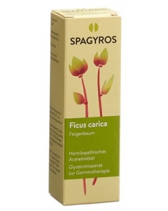 SPAGYROS GEMMO Ficus carica Glyc Maz D 1
