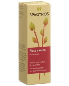 SPAGYROS GEMMO Rosa canina Glyc Maz D 1