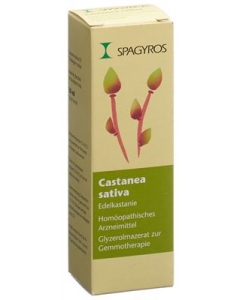 SPAGYROS GEMMO Castanea sativa Glyc Maz