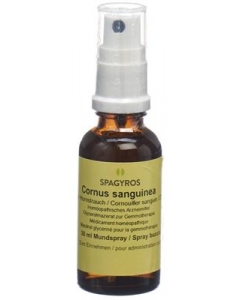 SPAGYROS GEMMO Cornus sanguin Glyc Maz D