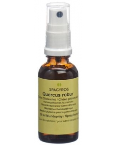 SPAGYROS GEMMO Quercus robur Glyc Maz D