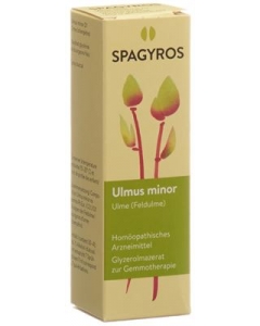 SPAGYROS GEMMO Ulmus minor Glyc Maz D 1