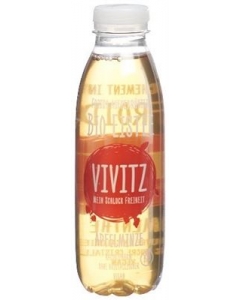 VIVITZ Bio Eistee Apfelminze 0.5 lt