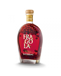 FRAGOLA SPEZIERIA BEPI TOSOLINI 70CL